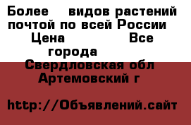 Более200 видов растений почтой по всей России › Цена ­ 100-500 - Все города  »    . Свердловская обл.,Артемовский г.